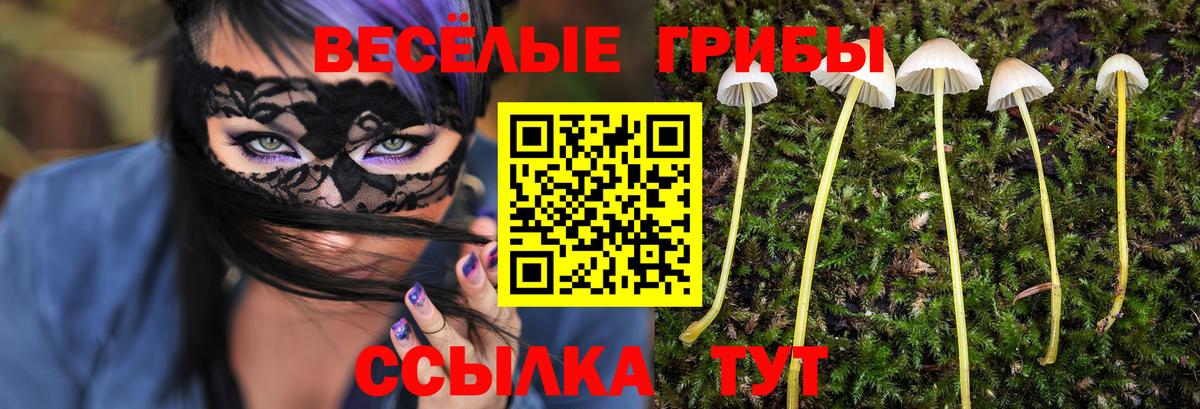 Галлюциногенные грибы ЛСД Павлово