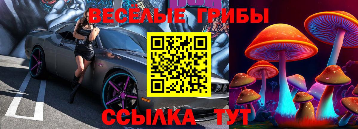 Псилоцибиновые грибы прущие грибы  Вход с VPN  Павлово 